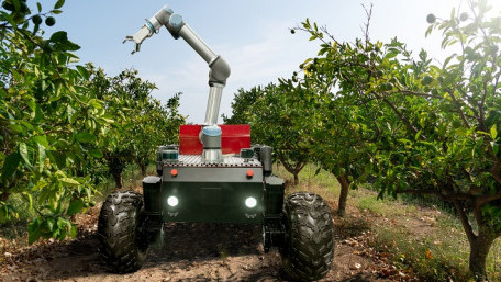 Outstanding in the Field: Robots That Can Pick Fruit