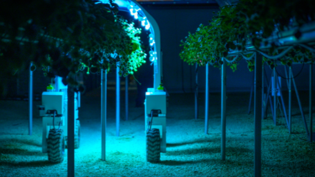 Seeking Sustainability in Agriculture with Robotic and IoT Technology