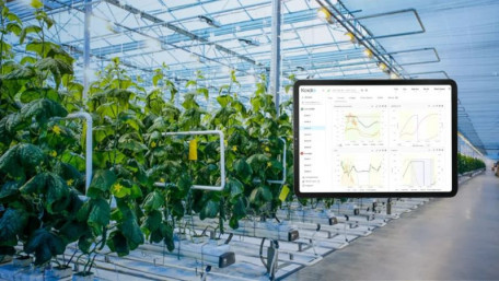 Trial Partnership Tests AI-Powered Technology To Automate Greenhouses