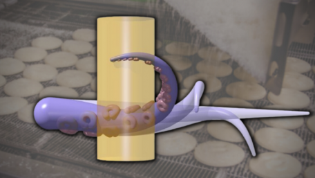 New Study on Soft Robotics Takes Inspiration From Octopus Arm Muscles