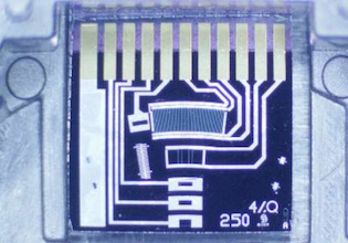 QM22 Optical Encoder with Commutation