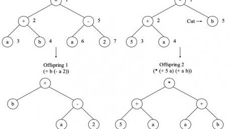 Genetic Operators in Evolutionary Algorithms