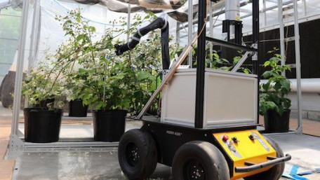 WVU Researchers Develop New Robot to Utilize AI and Machine Learning for Industrial Farming Operations