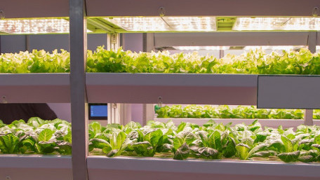 What Is Vertical Farming? A Look Into Airflow and Lighting Automation in Agriculture